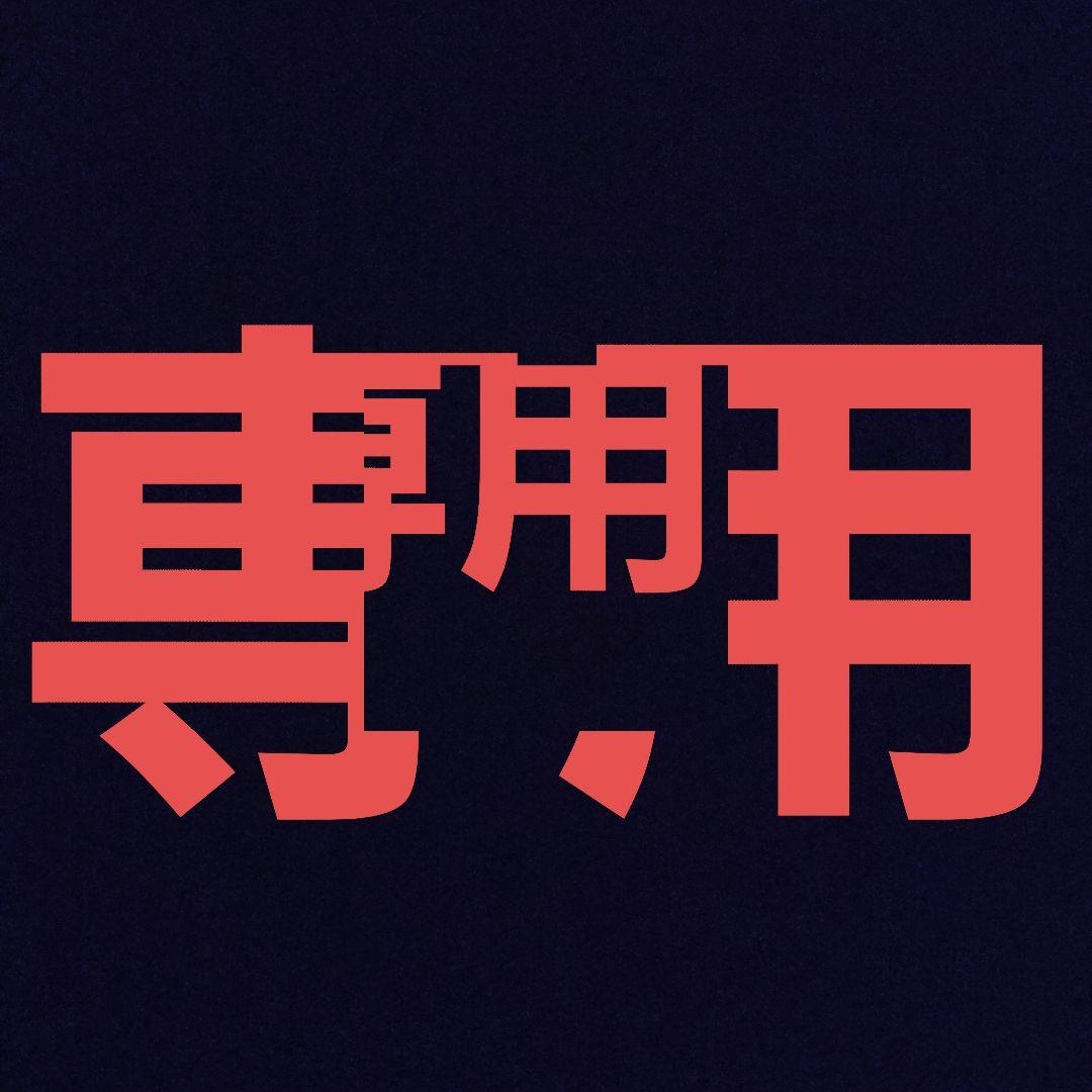 YU1103JPSSD512GB レッツノート CF-FV1 YU1103JPSSD512GB レッツノート CF-FV1 パナソニック Let's note FV1