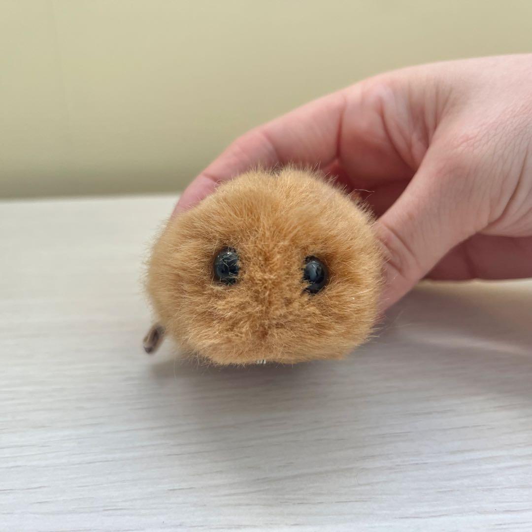 清泉寮 やまね工房 白樺の巣×ぬいぐるみセット - メルカリ