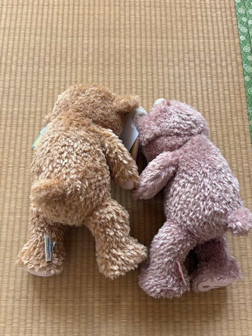 Duffy & ShellieMay ぬいぐるみ ディズニーチケット付きザクラス