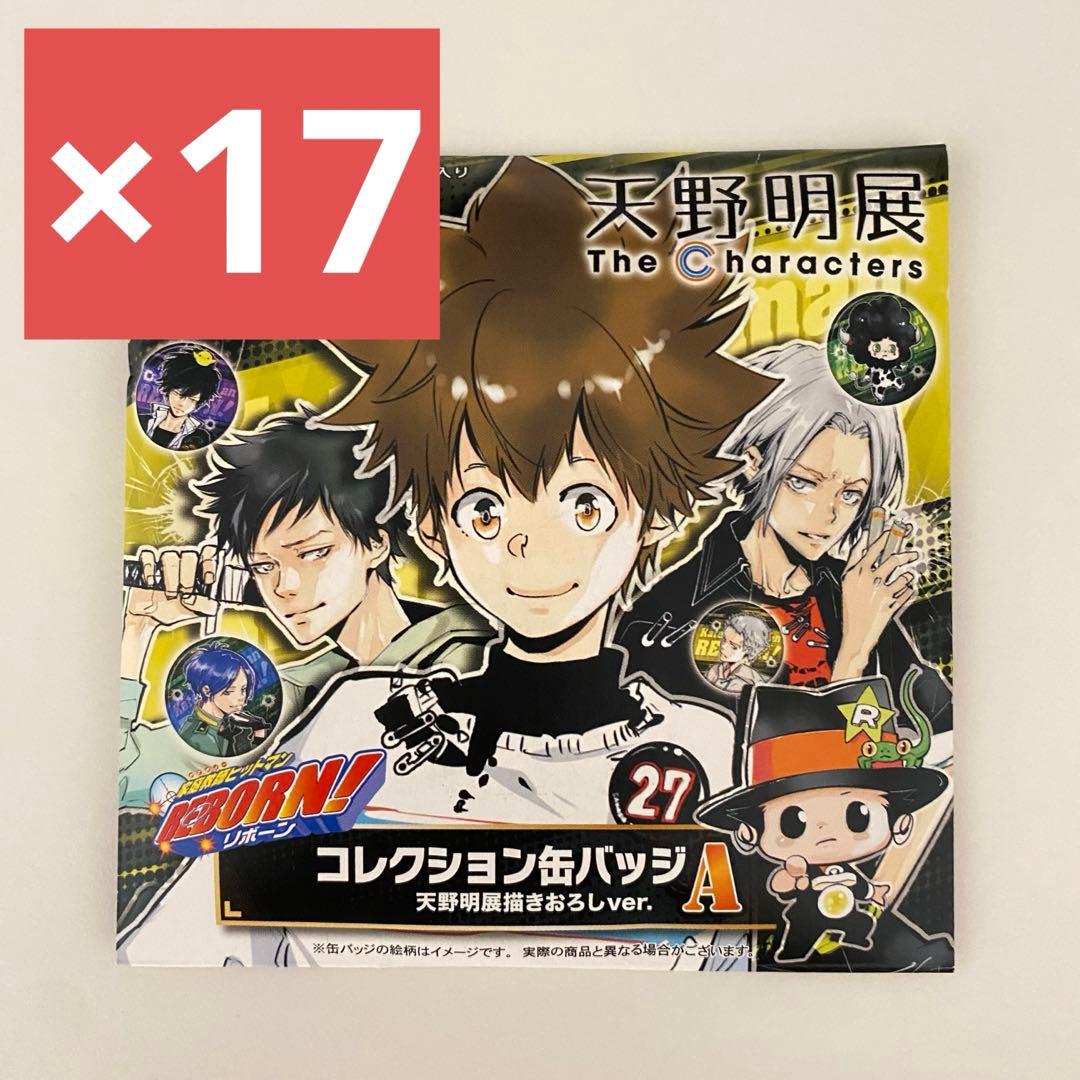 天野明展 家庭教師ヒットマンREBORN リボーン コレクション 缶バッジ