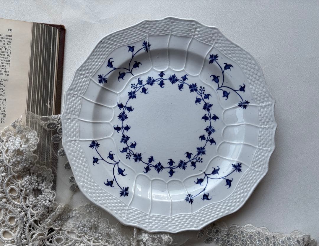 ツマベニチョウ♂♀標本☆スリランカ島産☆激レア入手困難地域貴重美麗標本