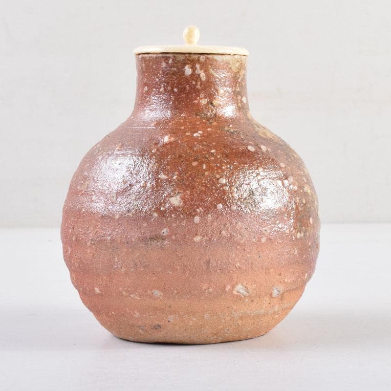 茶道具 信楽焼 上田寿方作 茶入 仕覆付 共箱 V 8952 - メルカリ