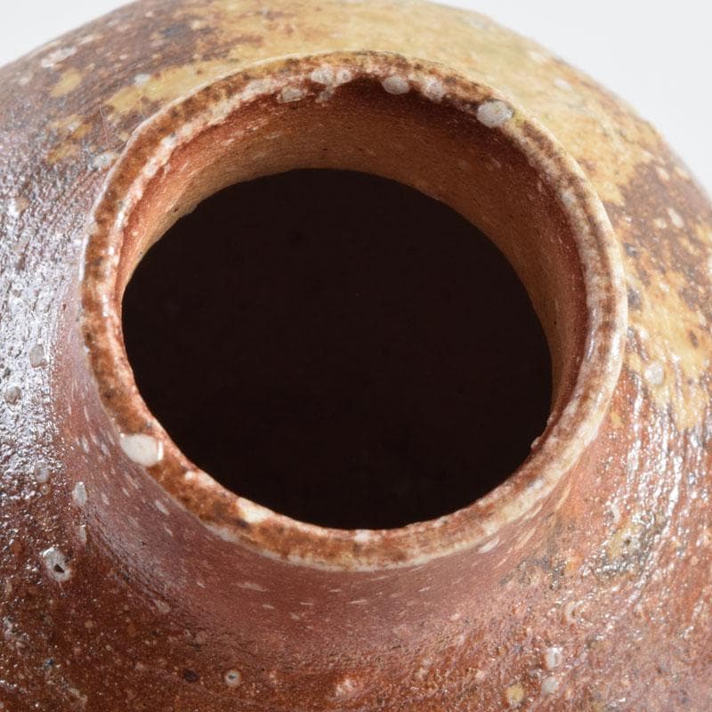 茶道具 信楽焼 上田寿方作 茶入 仕覆付 共箱 V 8952 - メルカリ