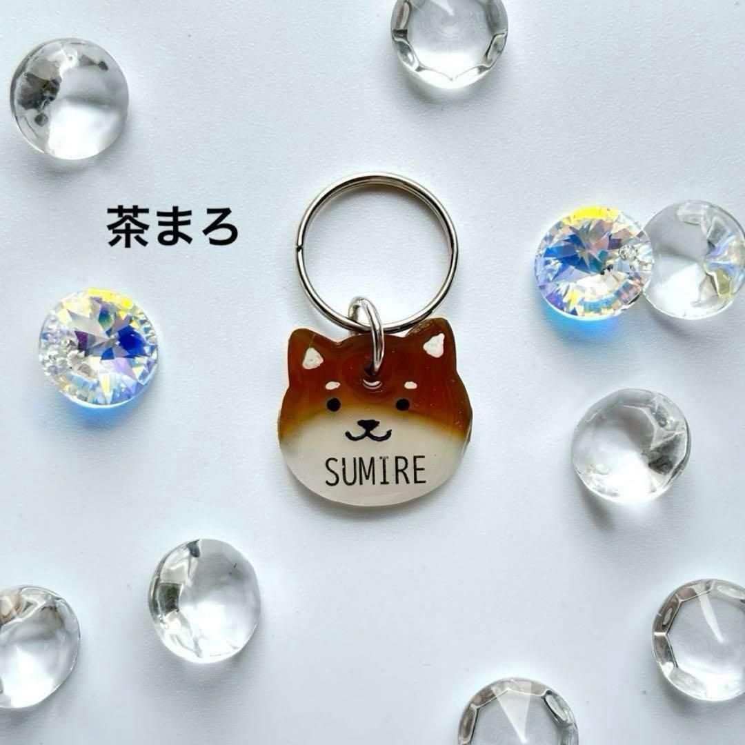 オーダー注文《 数量限定》柴犬種類選択 》迷子札　犬　名札