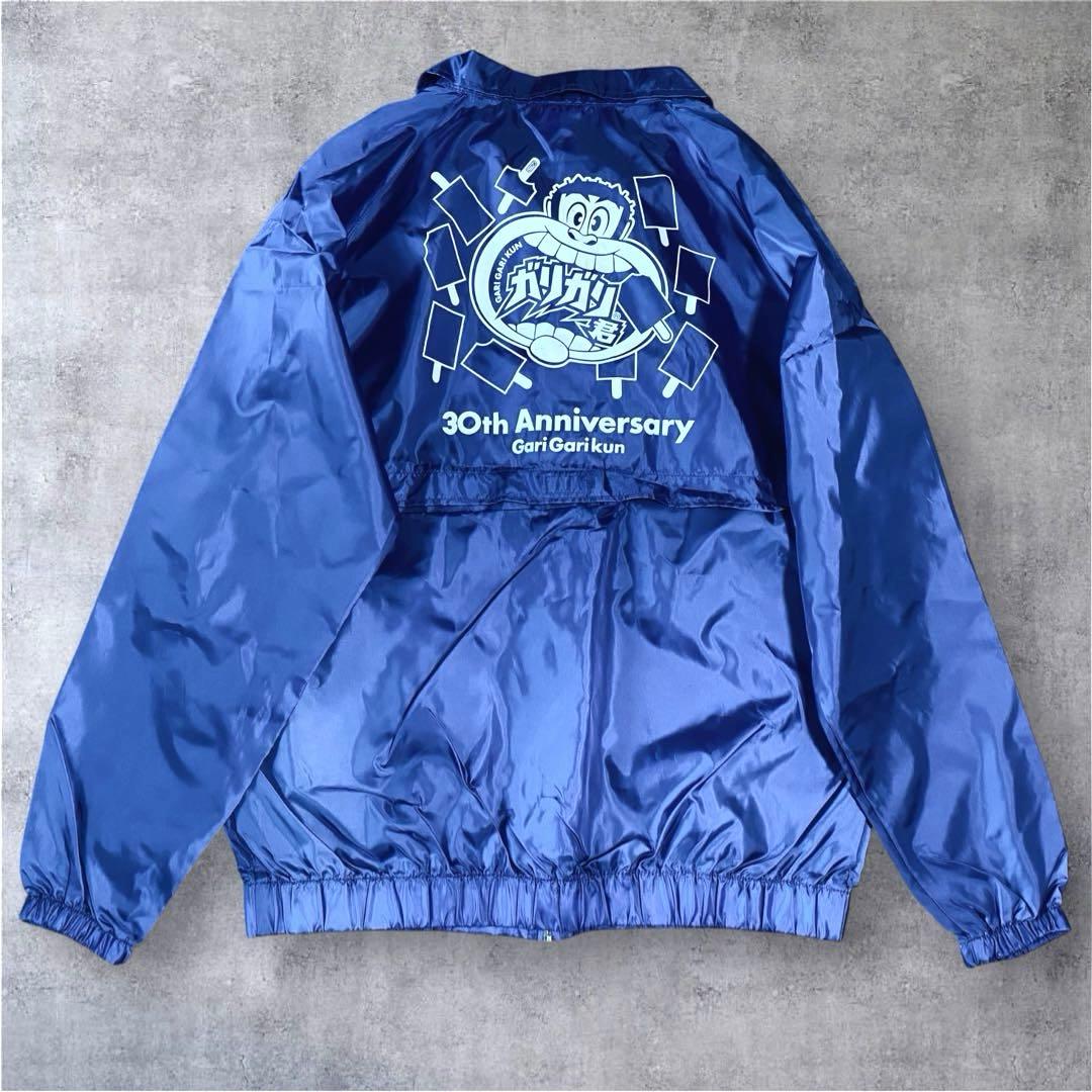 JRA 競馬 '91世界最強3歳馬アラジ号 写真（額入り） JRA 競馬 '91世界