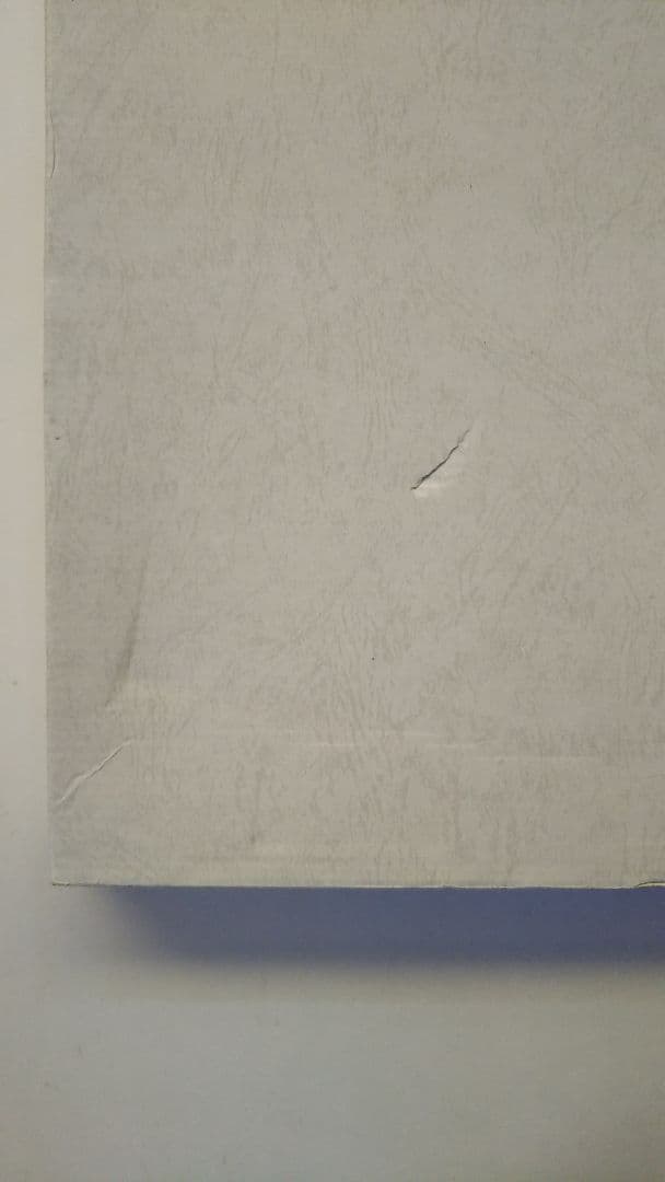 【原画】『永き眠りからの目覚め』（ウォンバット　絵画　苔　植物　森）