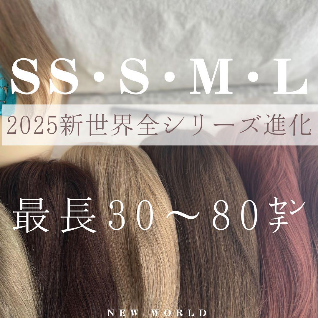 2025新世界　人毛100%　フルウィッグ　シルクスキン　医療ウィッグ　ブラック