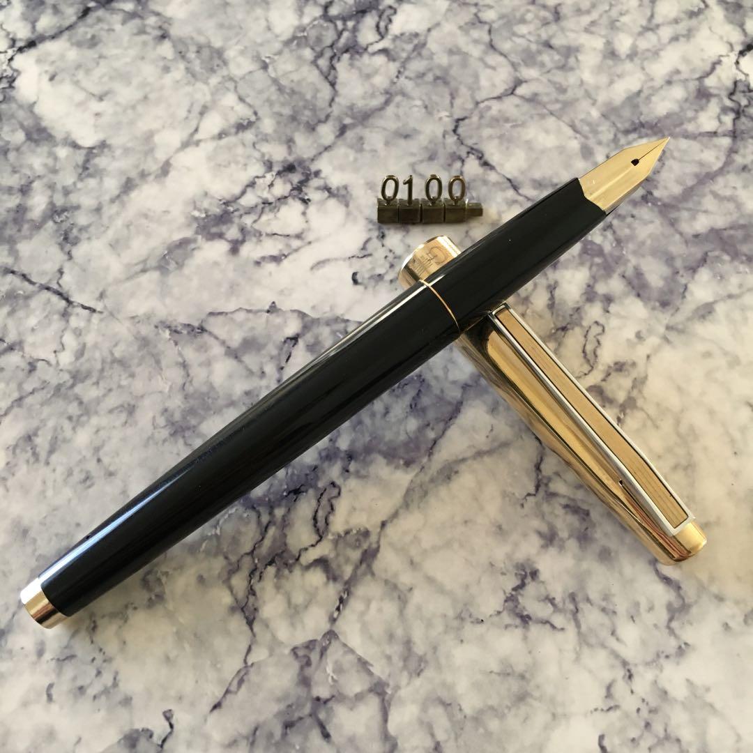 0100 オーバーホール済 レア 万年筆 パイロット PILOT 14k 万年筆の