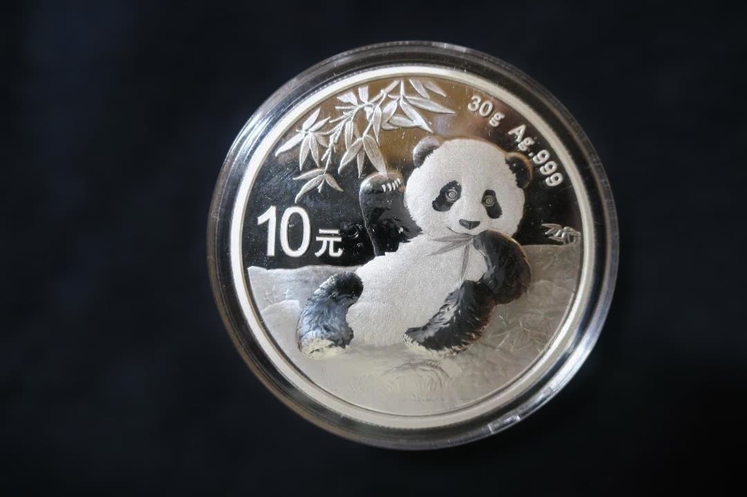 化粧箱・保証書・カプセル付 2020年 (新品) 中国パンダ銀貨 30グラム
