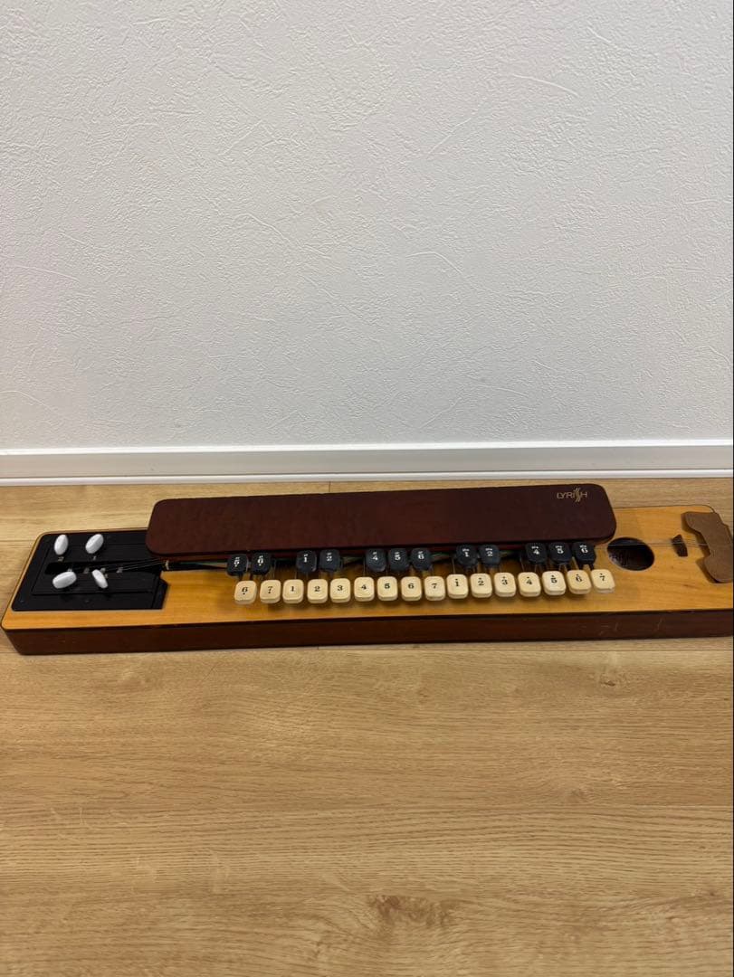 ライリッシュ 大正琴 LYRiSH ケース・ピック付き - メルカリ