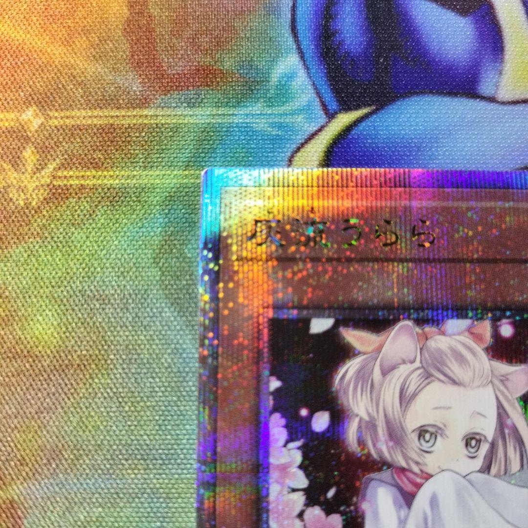 灰流うらら 25thシク 絵違い QCAC-JP050 遊戯王 灰流うらら 絵違い