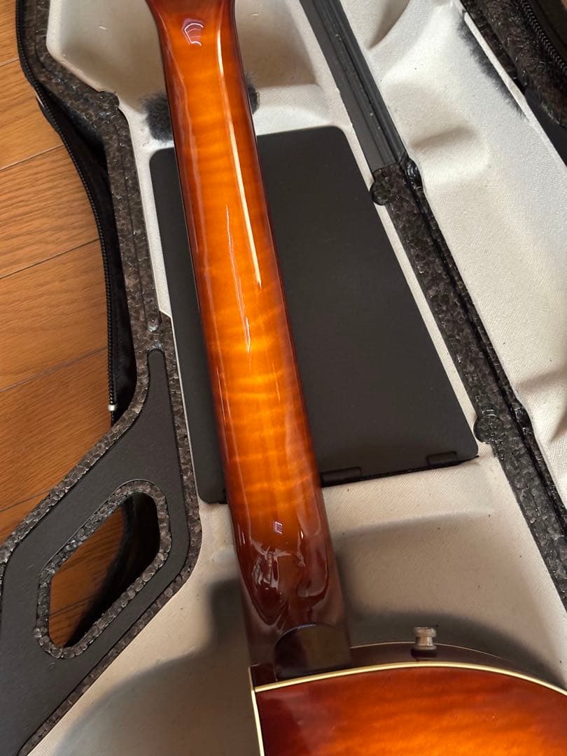 ゴダン Godin 5th Avenue Jazz 希少フルアコギター