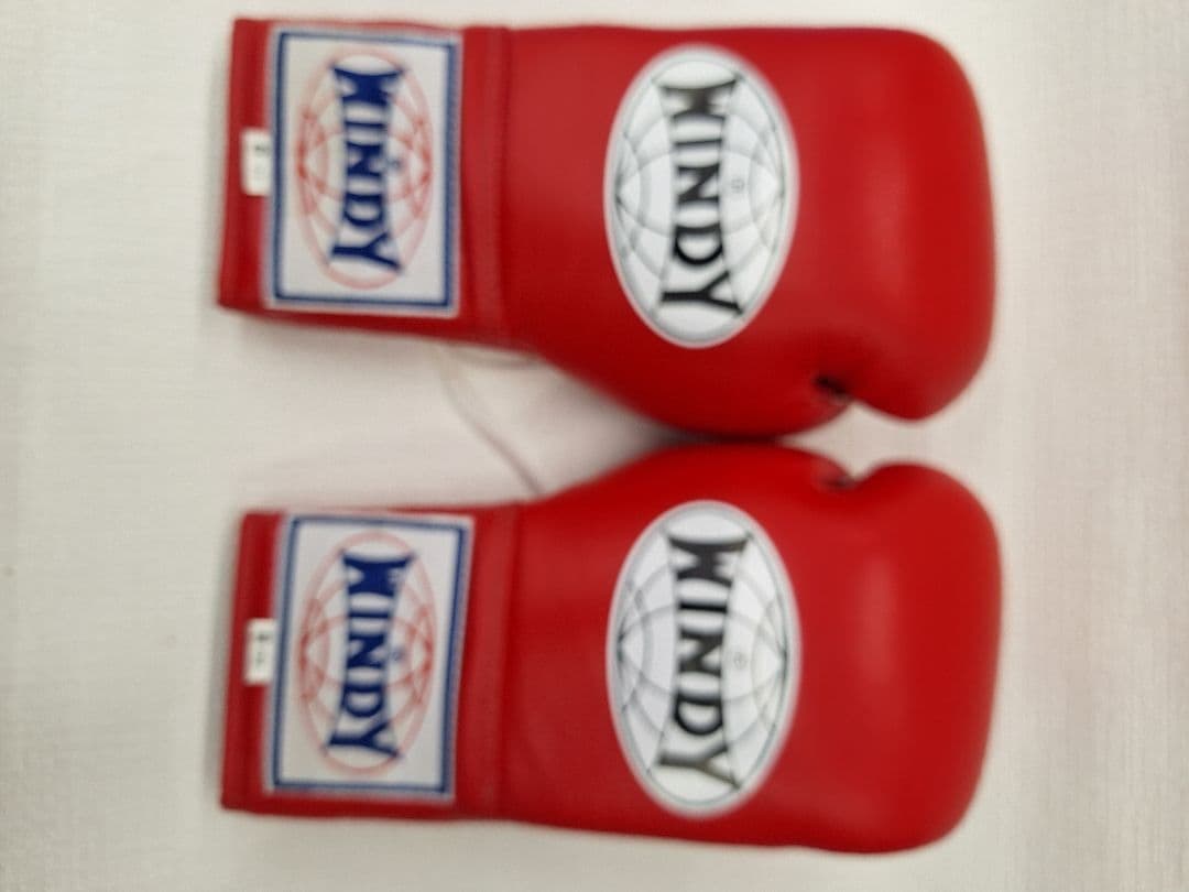 WINDY 赤 ボクシンググローブ 8oz 紐タイプ WINDY 赤 ボクシンググローブ 8oz 紐タイプ