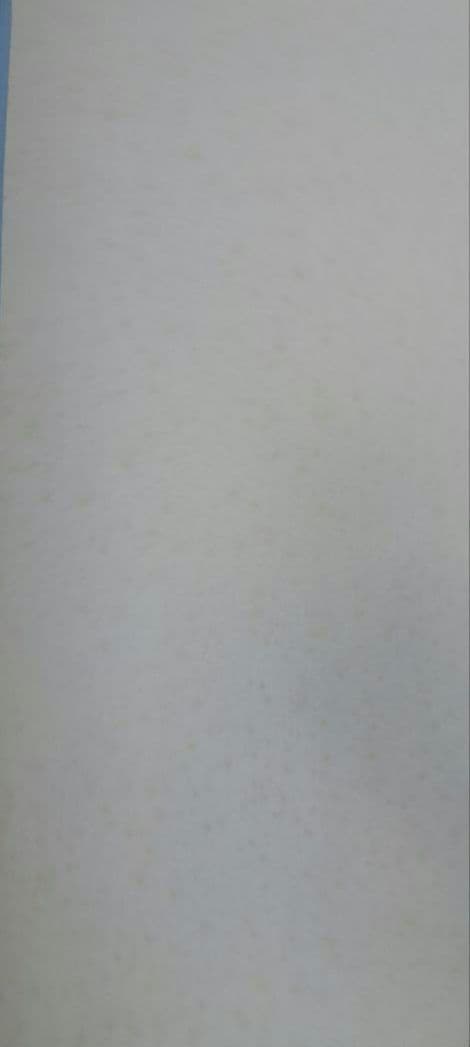 ビートたけし FICCE 特大ポスター