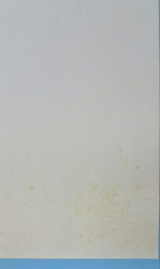 ビートたけし FICCE 特大ポスター