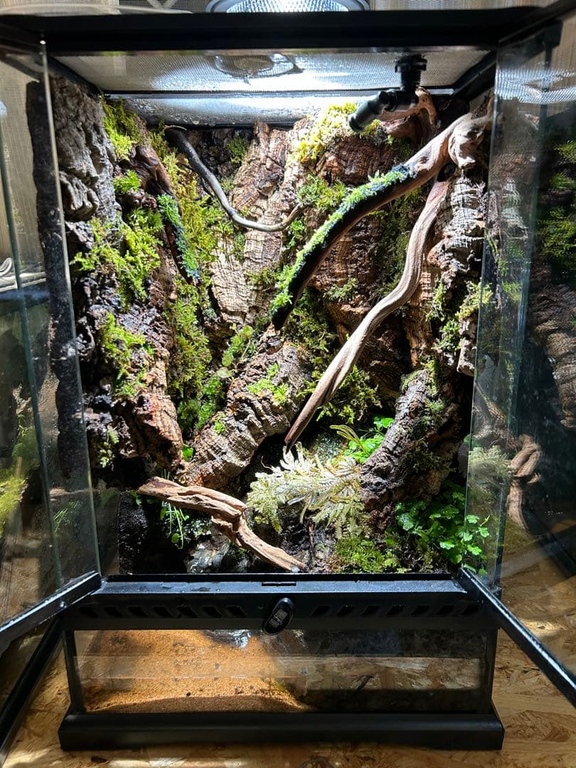 グラステラリウム3045 レイアウト品