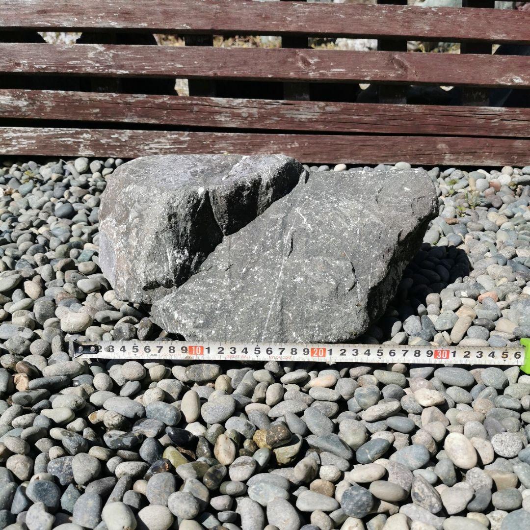 レイアウト済 ホワイト人工石 11個置ける ライブロック 30cm水槽用