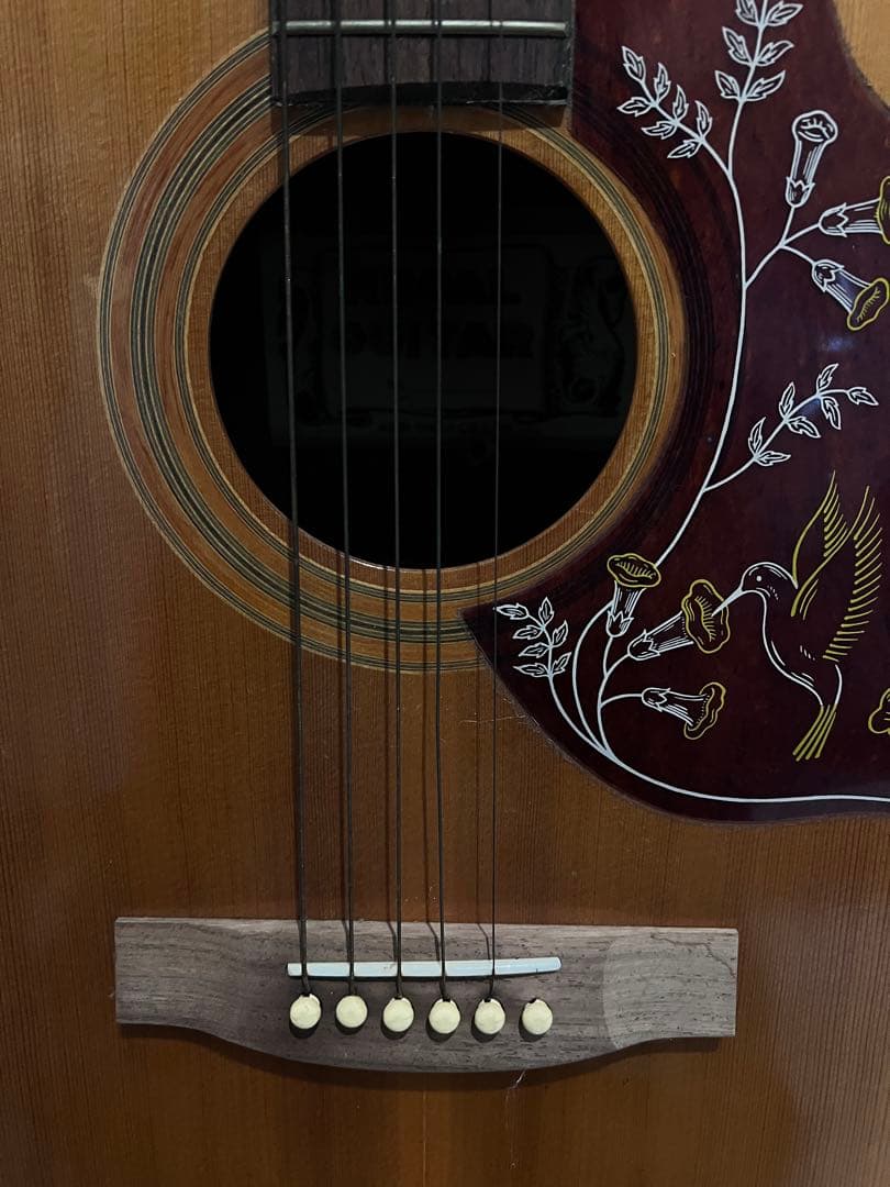 REGAL GUITAR リーガルギターの通販はau PAY マーケット - 輸入雑貨の