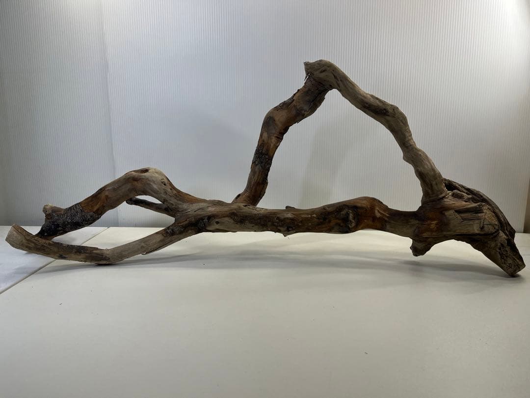 k36特大流木 アク抜き済み 爬虫類シェルター レイアウト用 登り木