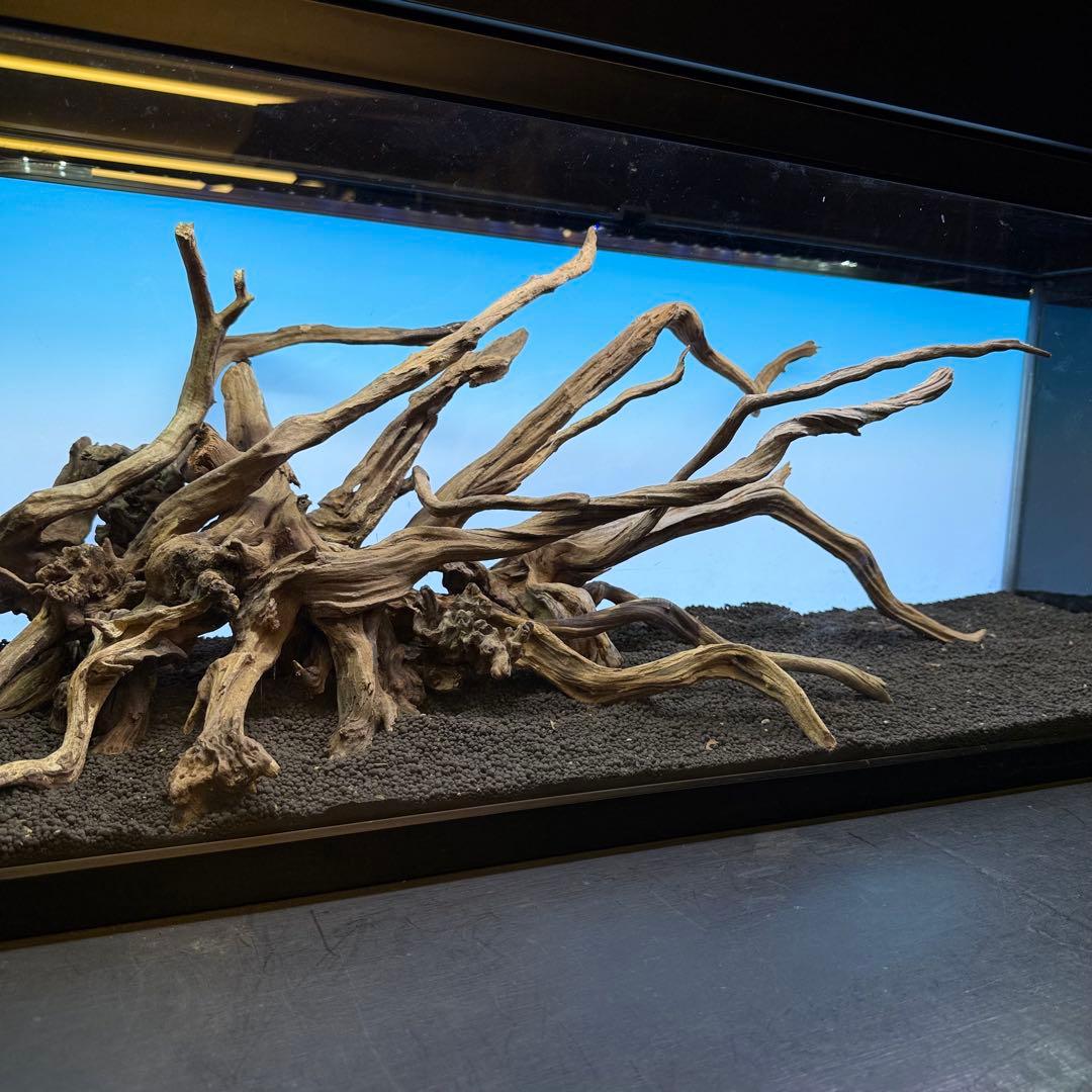 MSRW-6927 天然流木レイアウトセット スリムウッド アクアリウム