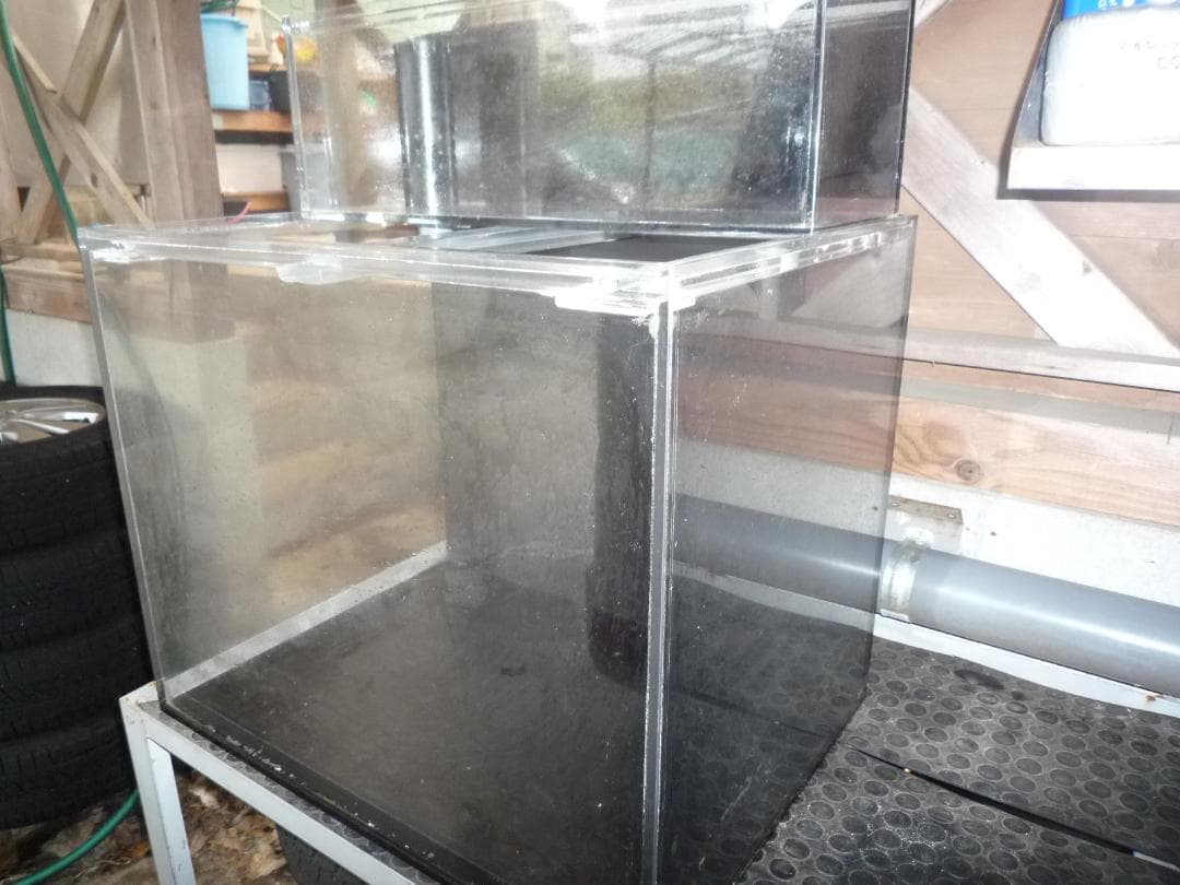 特注 60×45×H50cm オール10mm アクリル水槽 使用期間18ヶ月｜楽天