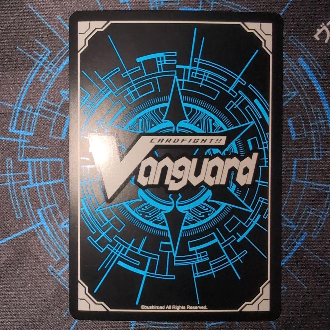 スノウスキップ パルヴィ　LSR