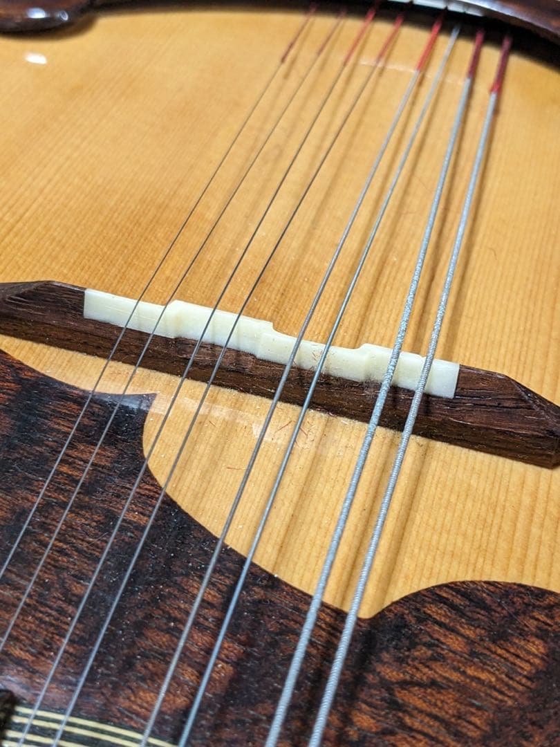 マンドリン SUZUKI スズキ M-30