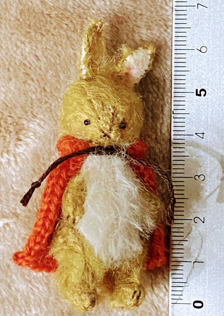 ⭐️こはるさん専用です。⭐️moriのえほん様 オレンジマントのうさぎさん