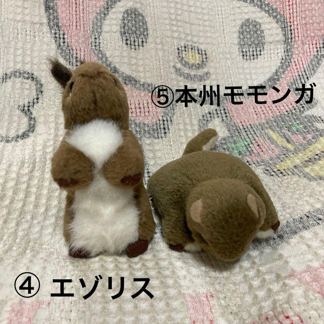 やまね工房 ぬいぐるみ 8コセット 中古品 落合けいこ - メルカリ