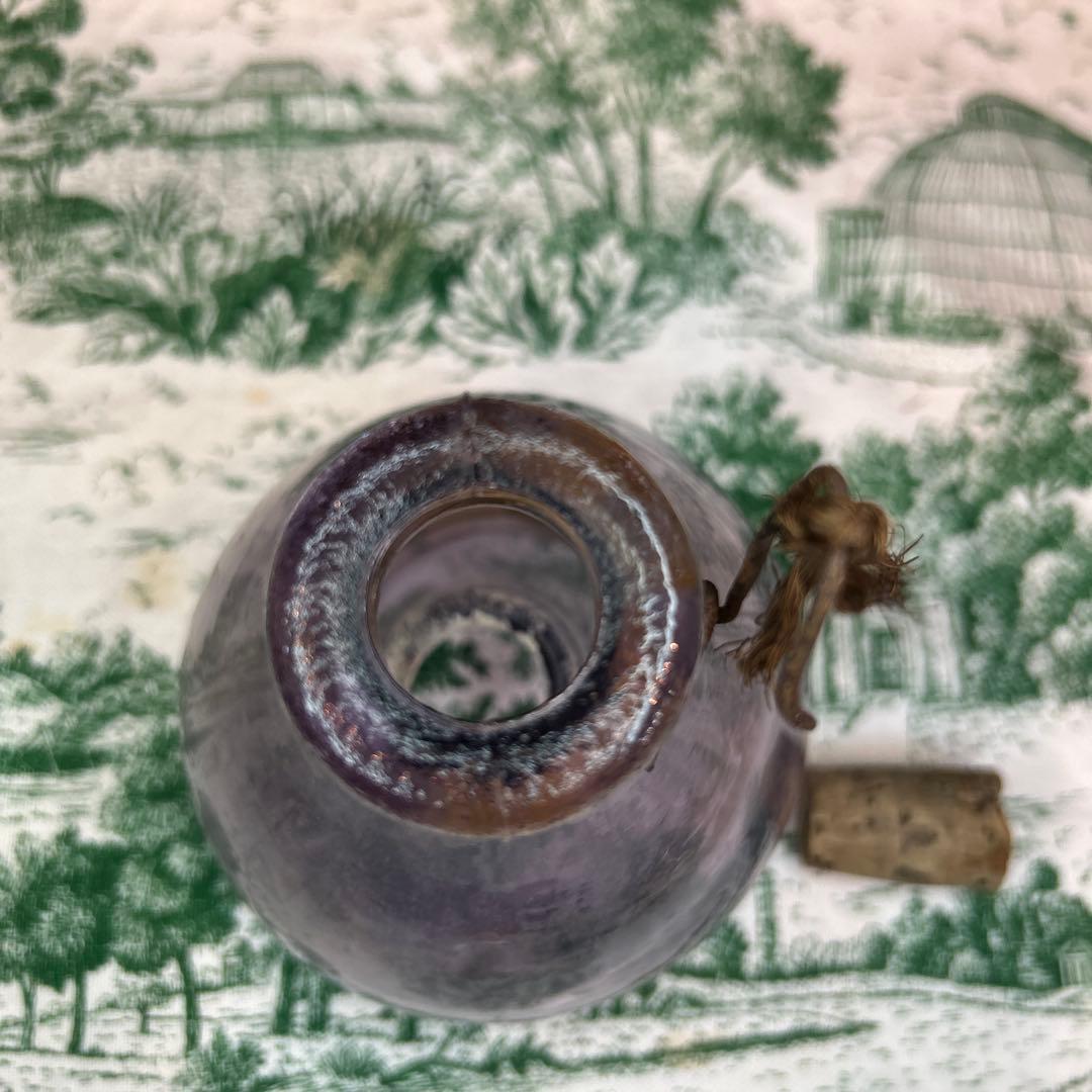 稀少ワンダーデコールイギリスアンティーク古いガラス虫取り瓶FlyTrap