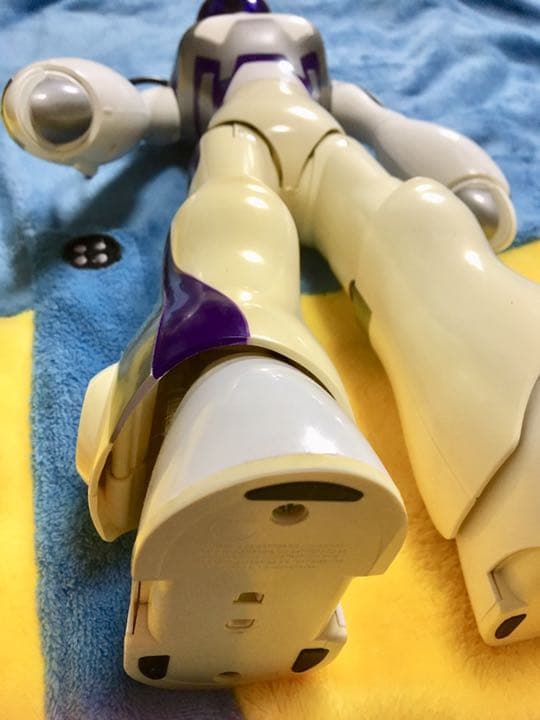 フェミサピエン