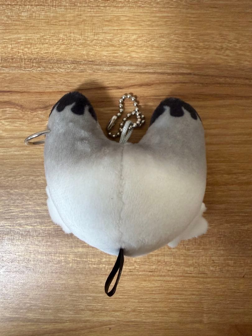 NEXZ ネクスジ FOX2Y キーホルダー - メルカリ