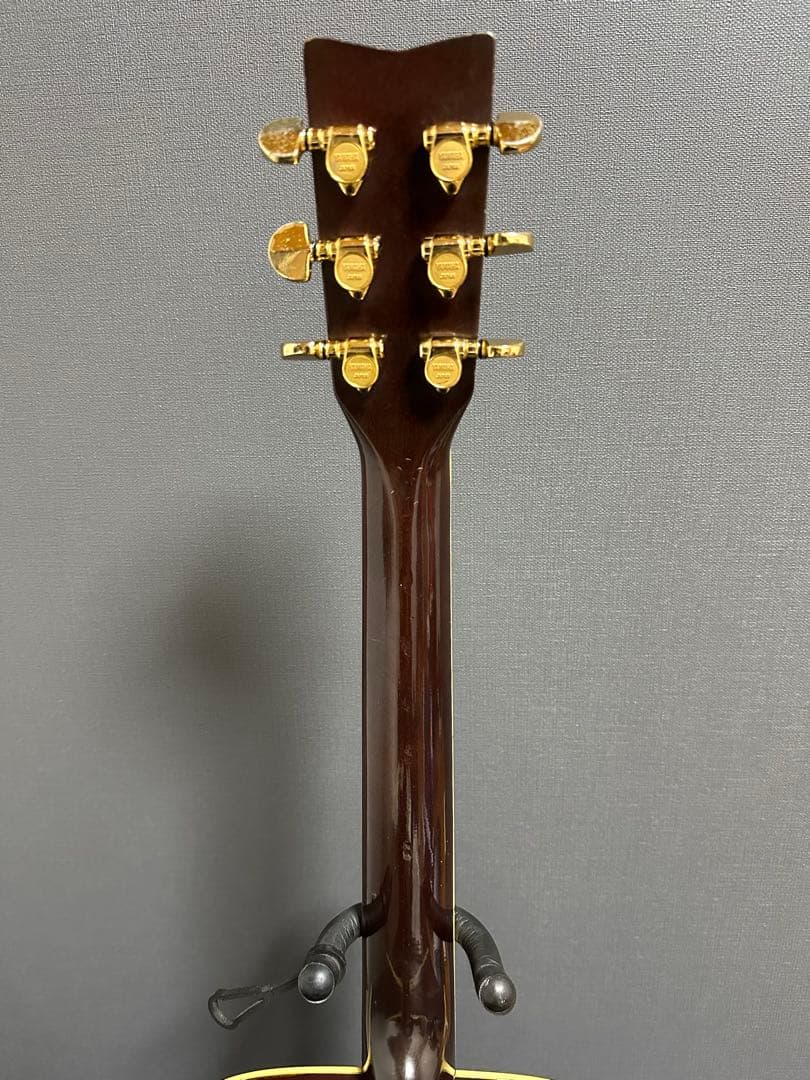 黒沢楽器&長野楽器 DOVEモデル(送料込)