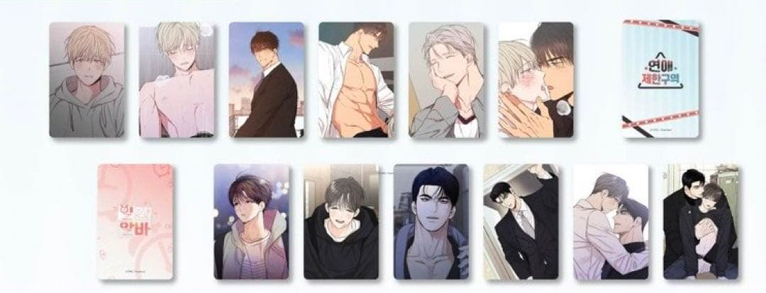 韓国BL 恋愛制限区域 日刊アルバ - メルカリ