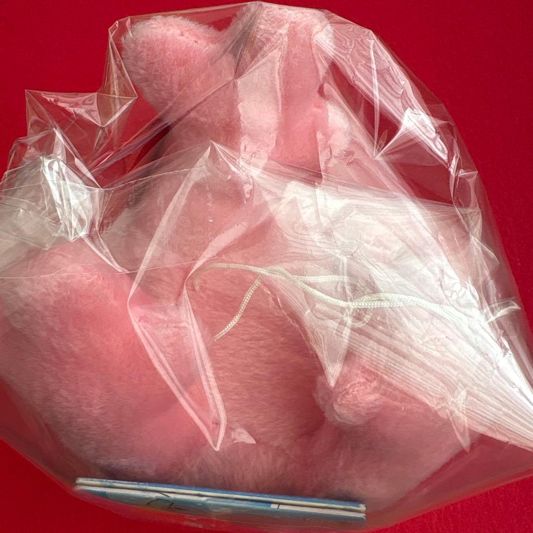 希少　2006年　サニーゴ　ポケモン ぬいぐるみ