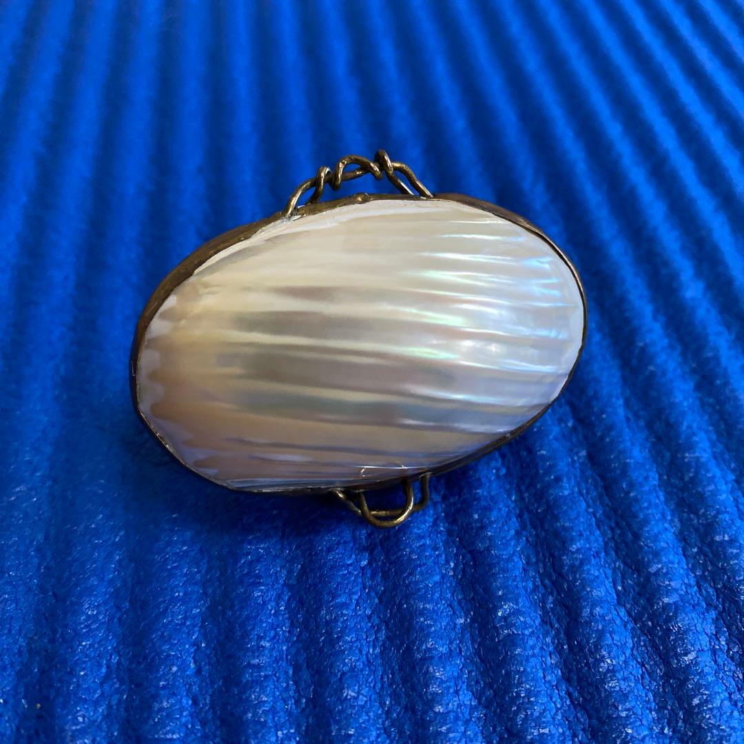 フランスアンティークマザーオブパール 白蝶貝 - メルカリ