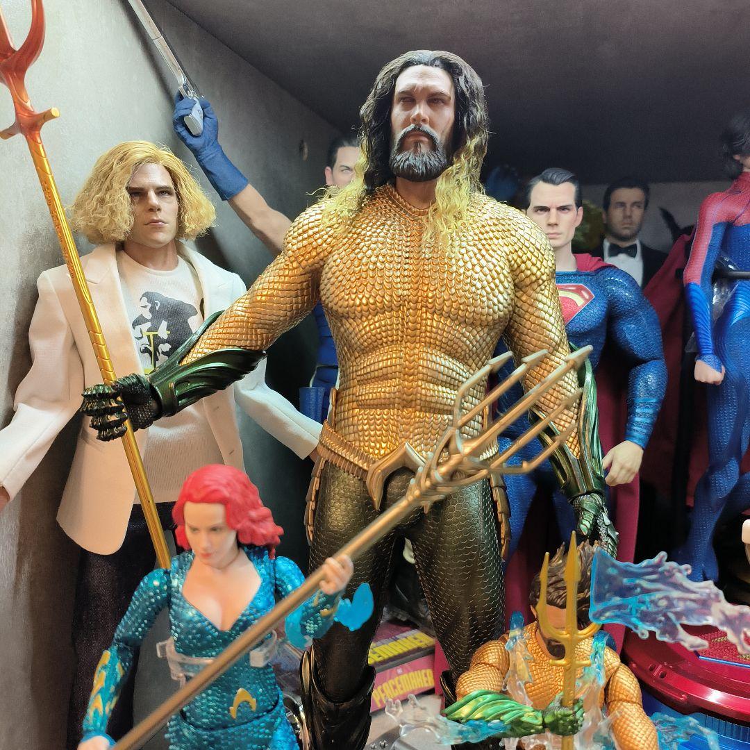 ホットトイズ アクアマンフィギュア カスタマイズ植毛 - メルカリ