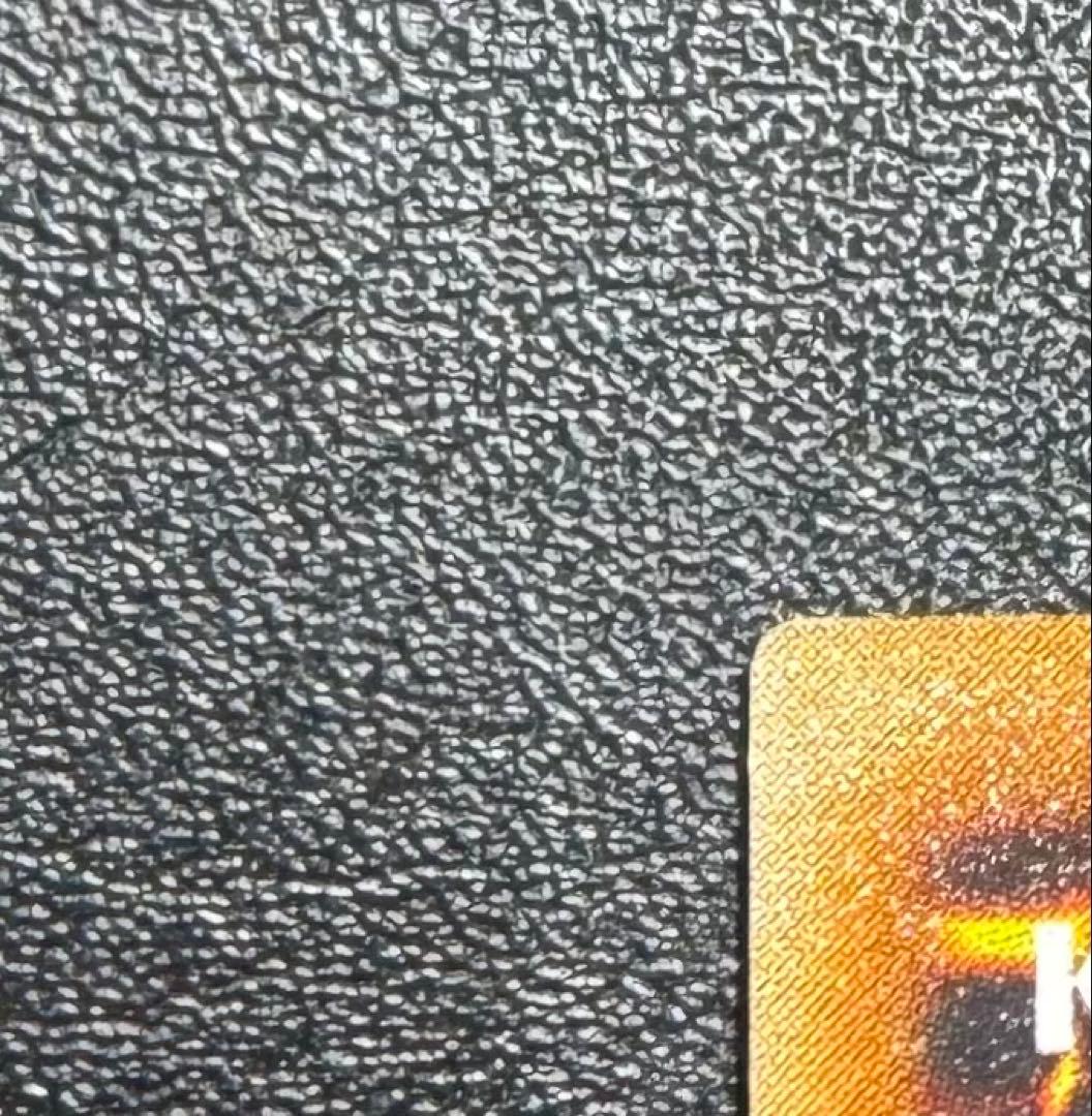 真紅眼の闇竜/レッドアイズダークネスドラゴン/ レリーフ/アルティメットレア