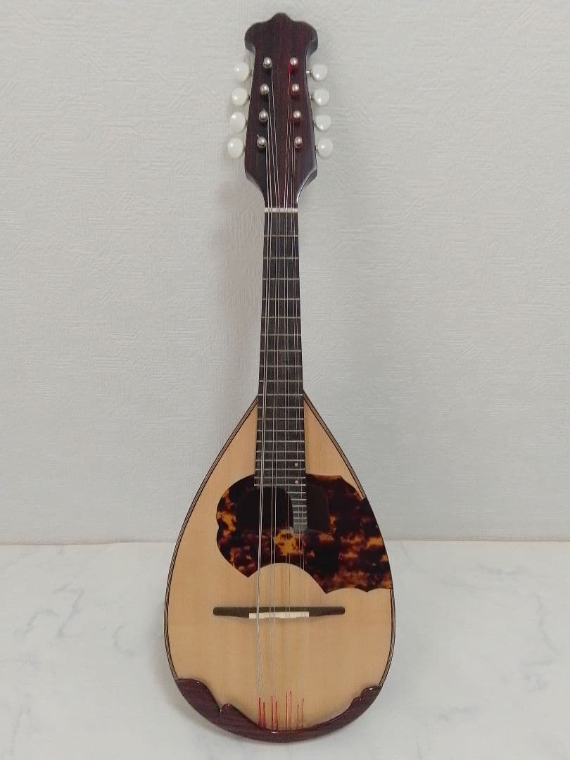 マンドリン 渡辺精次 No.70 Anno1995 Watanabe ケース付 - メルカリ