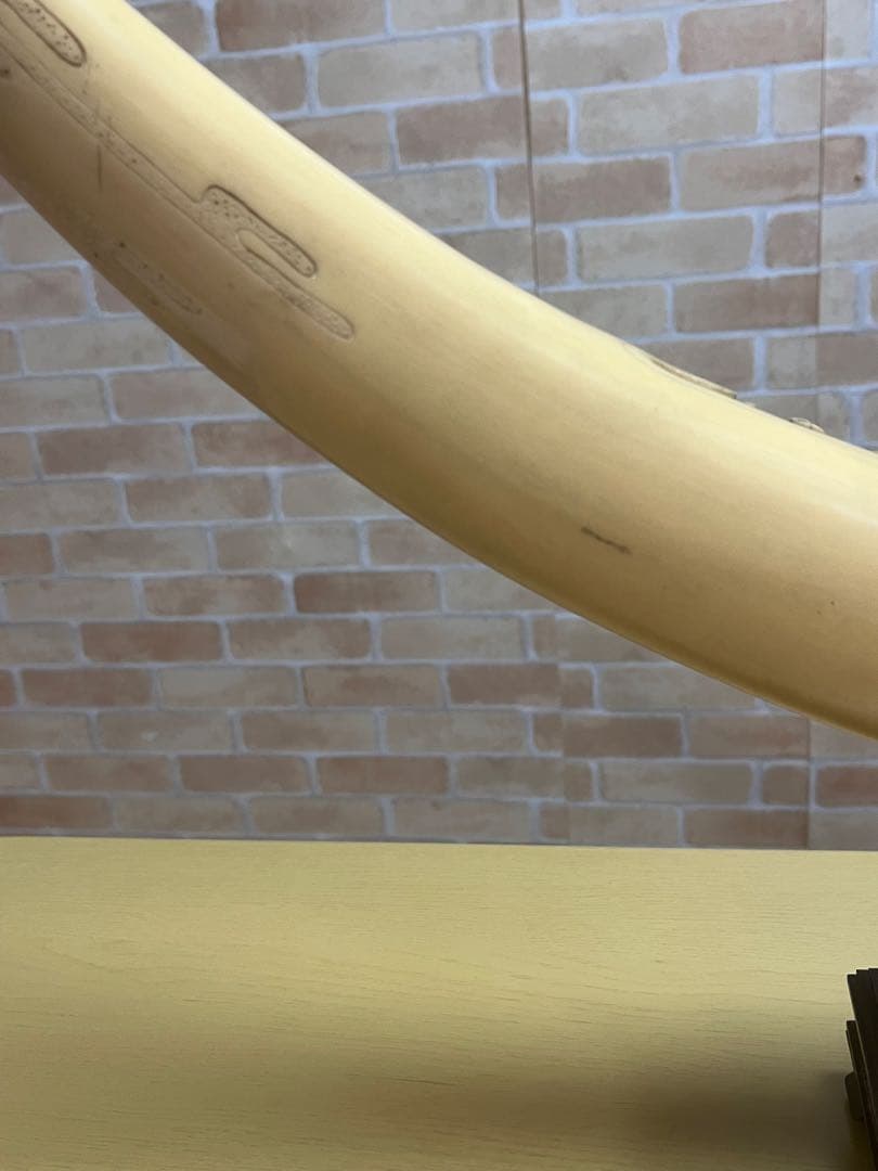 一本牙 象牙風レプリカ 置き物 長さ約81cm 置き台付 樹脂か
