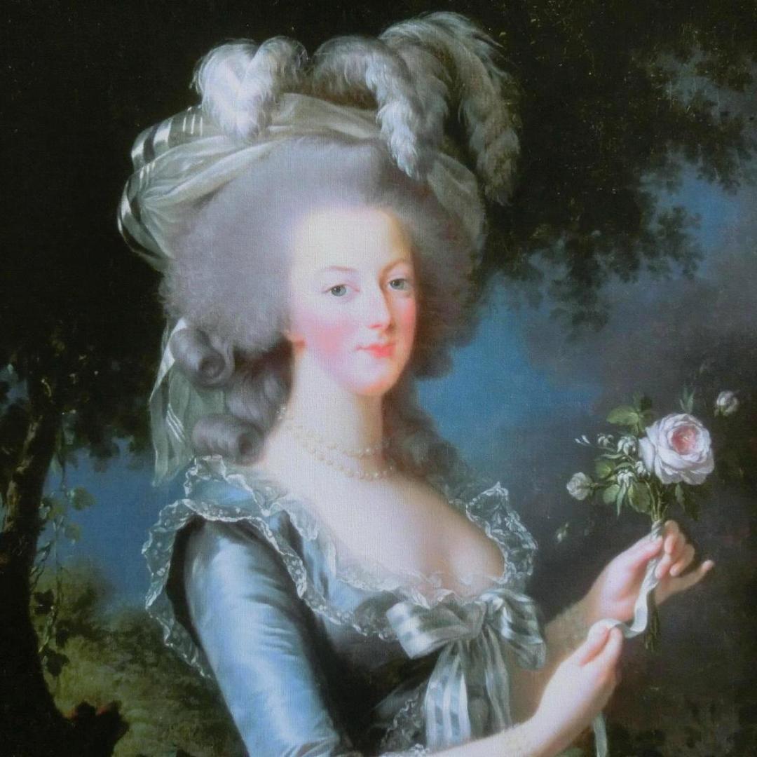 ロココ調 アンティークゴールドフレーム マリーアントワネット 額絵 103