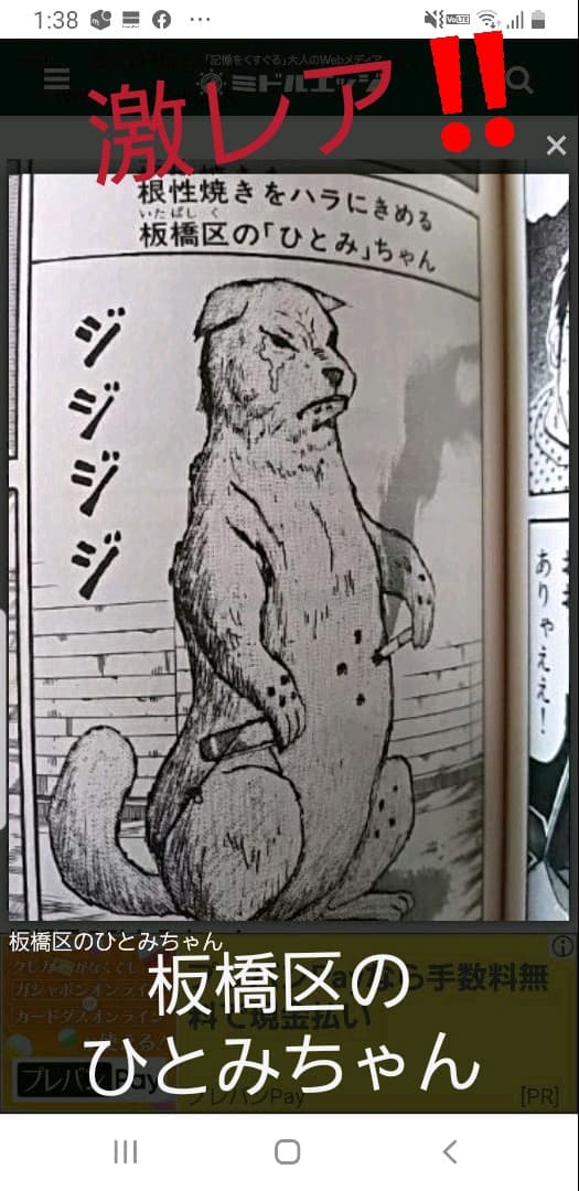 激烈バカ】超激レア ごく僅か当選品 ひとみちゃん ゴールド(メッキ