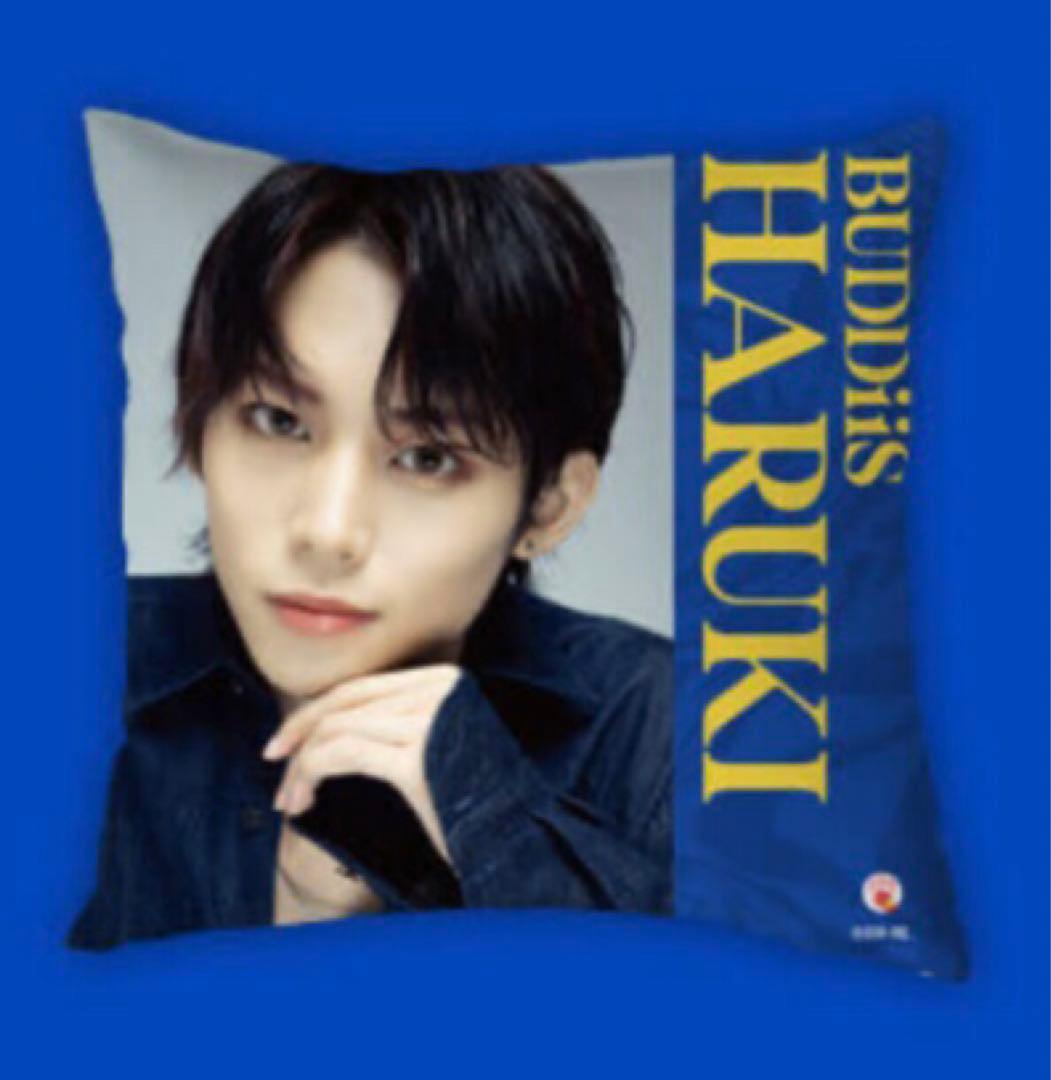 ☆BUDDiiS☆限定 オリジナルコラボグッズ クッション 全9種コンプセット