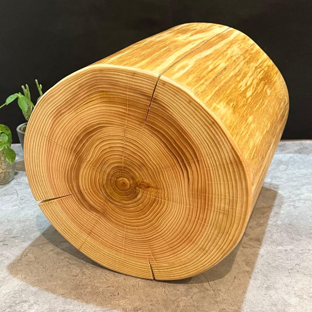 788 切り株　丸太　輪切り　スツール　丸太椅子　チェア　オブジェ　インテリア