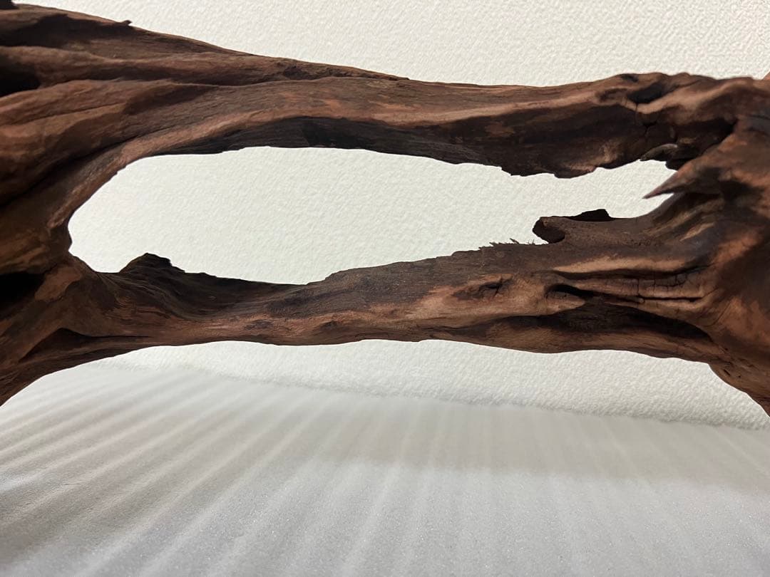 HX-081 流木 ホーンウッド マシンガンウッド アクアリウム ブランチ