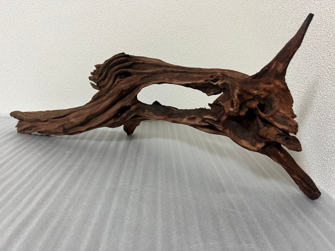 HX-081 流木 ホーンウッド マシンガンウッド アクアリウム ブランチ