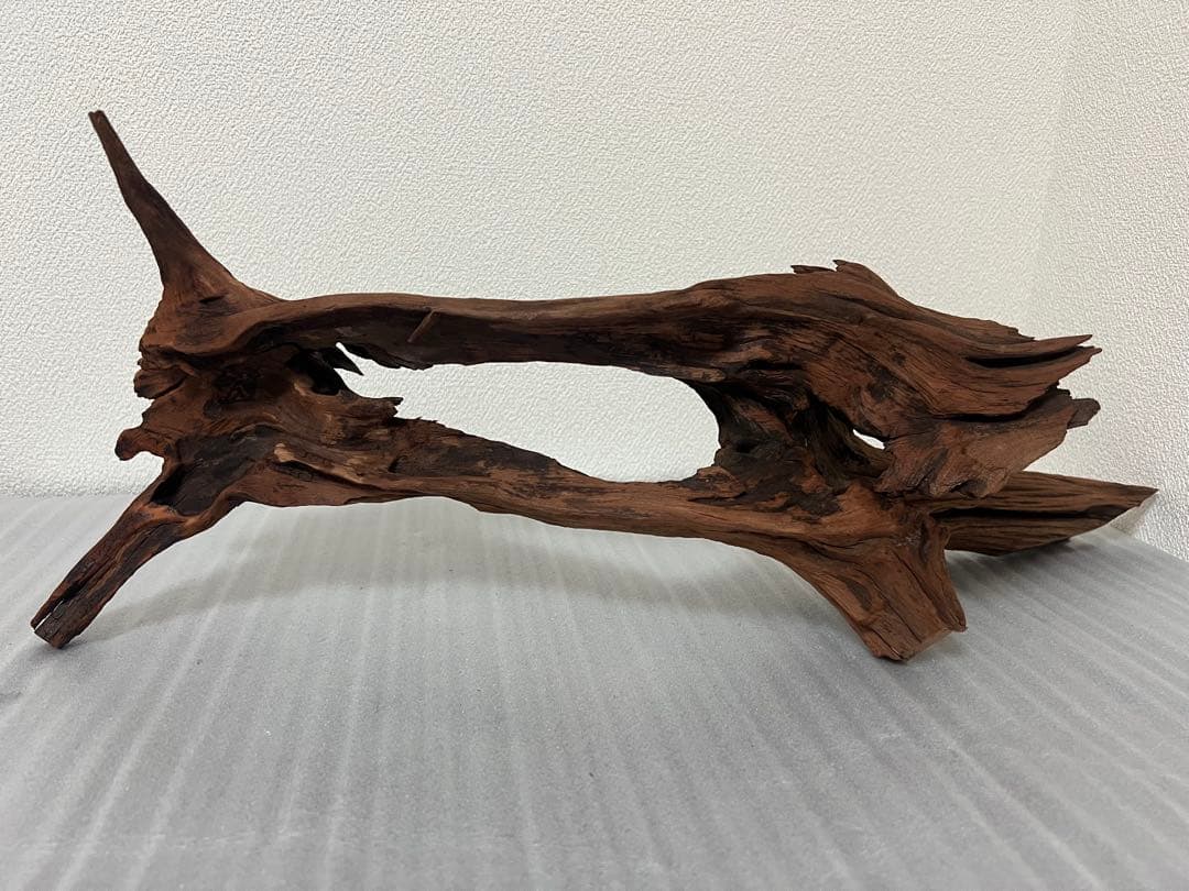 HX-081 流木 ホーンウッド マシンガンウッド アクアリウム ブランチ