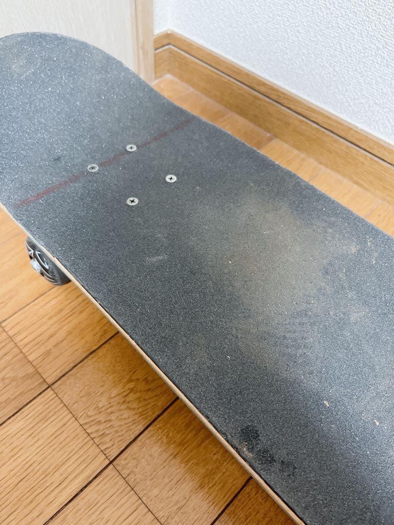 SANTA CRUZ コンプリート スケボー 中古品