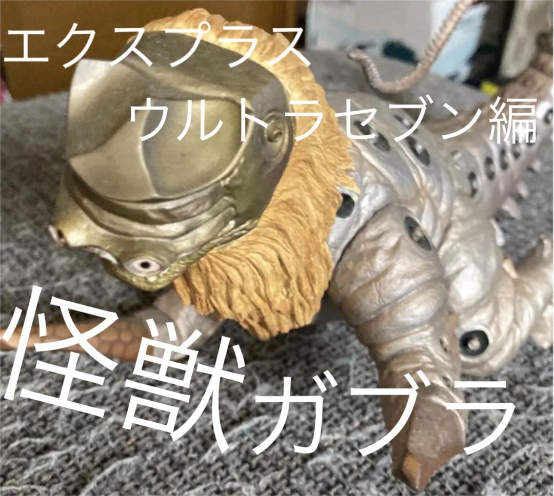 極小】マンモスゴキブリ ナンベイオオチャバネゴキブリ ローチ 昆虫