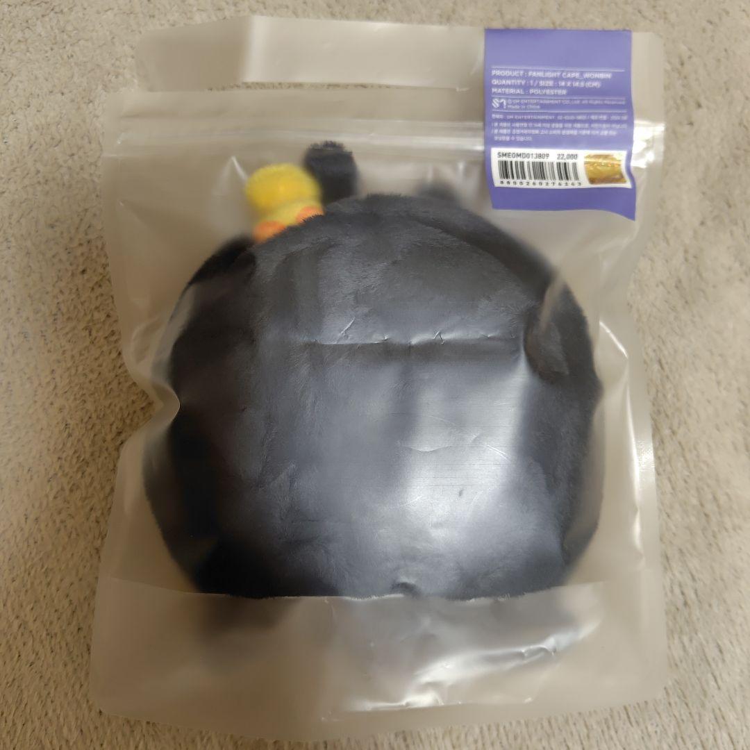 RIIZE ウォンビン トニャンドクペンライトカバー シュシュ ペンライト